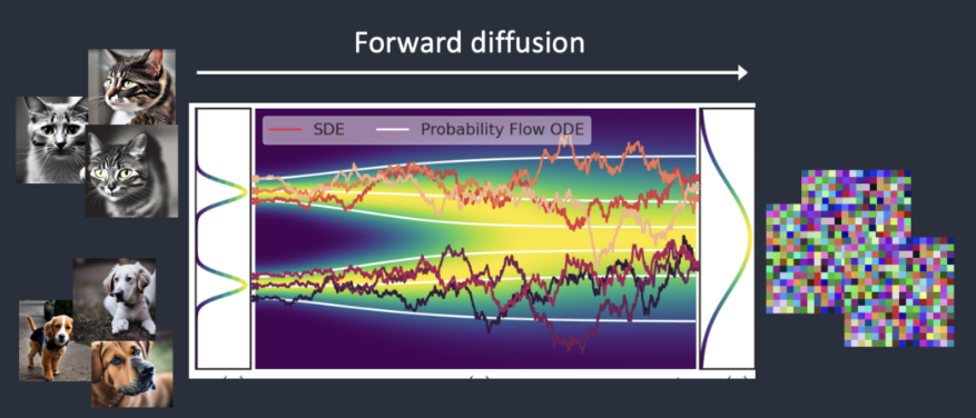 Forward Diffusion Process